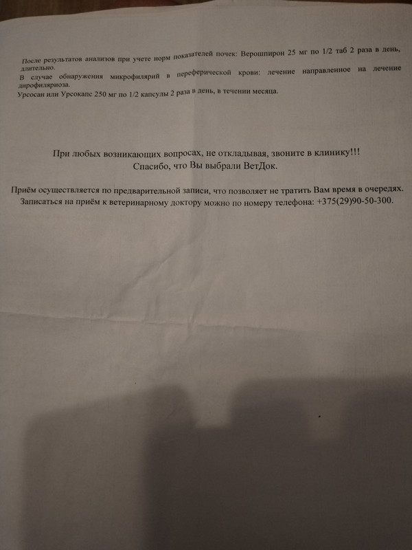 IMG-ed0f739eba8b35495bdbc92df8f0ffe6-V