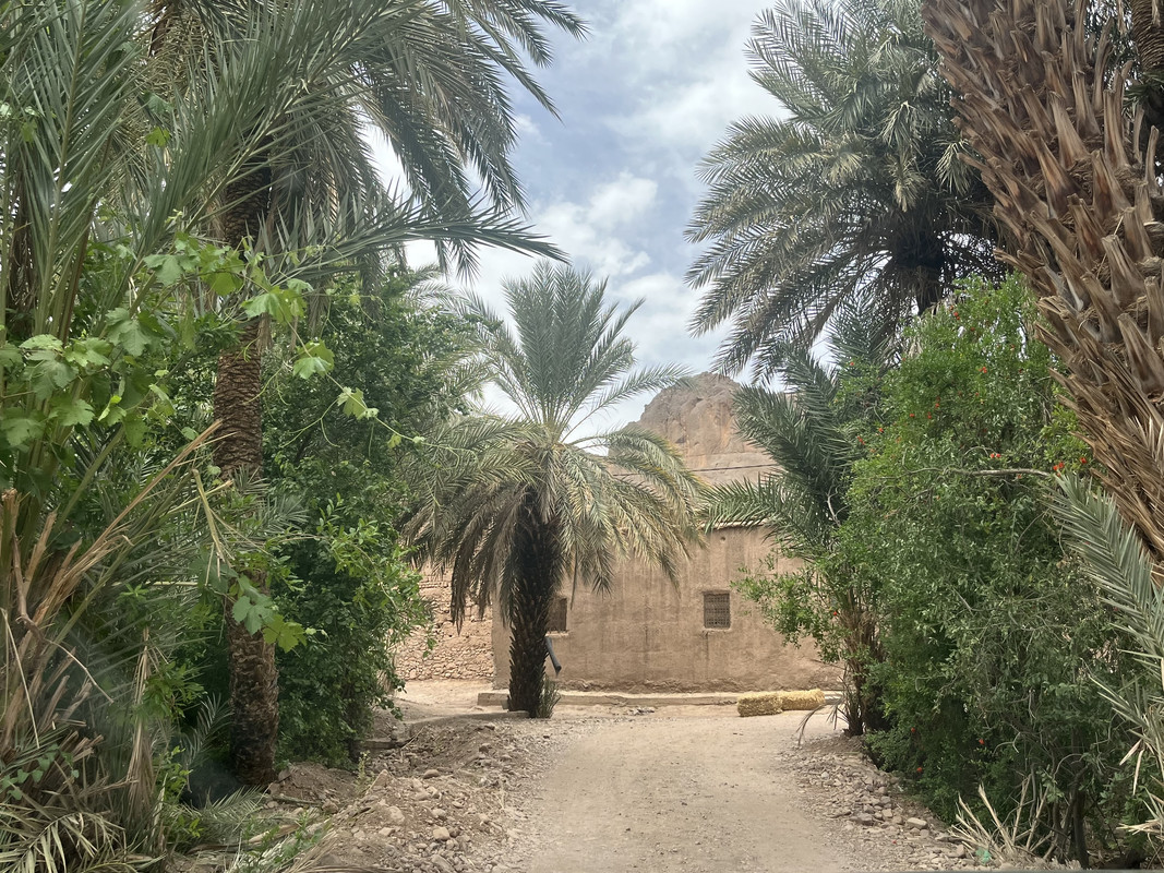 Los Oasis de Fint y de Tiguirt - El Valle del Drâa, la gran arteria del sur de Marruecos (5)