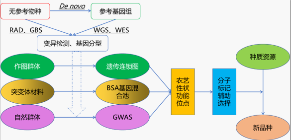 国家基因库农业数字化服务平台-3.png