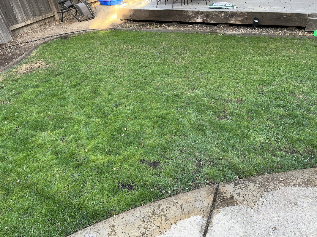 F7052741-B5E7-4C41-95EE-D4EE076A13EE