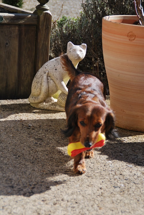 [Image: DSC-1632.jpg]