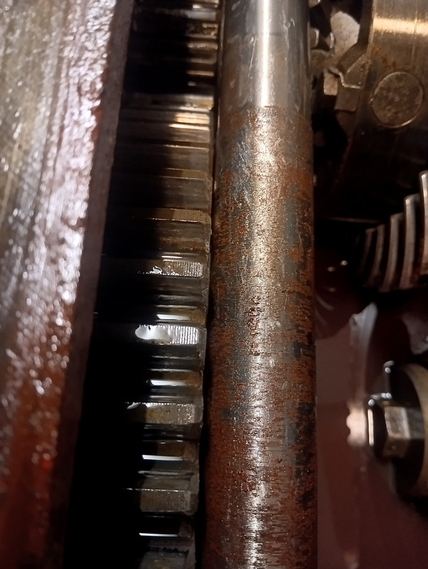 IMG 20260116 180533534