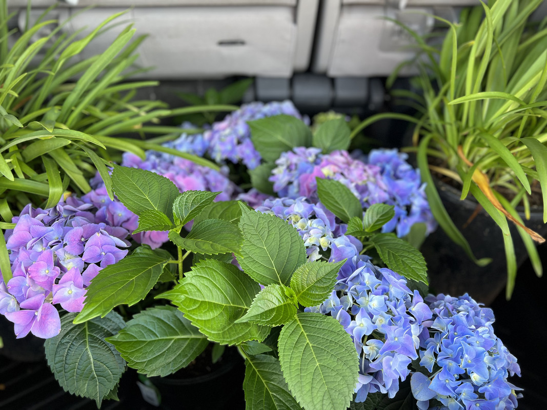 8FC9AB1E-B8EB-4575-922C-F96DA501B682