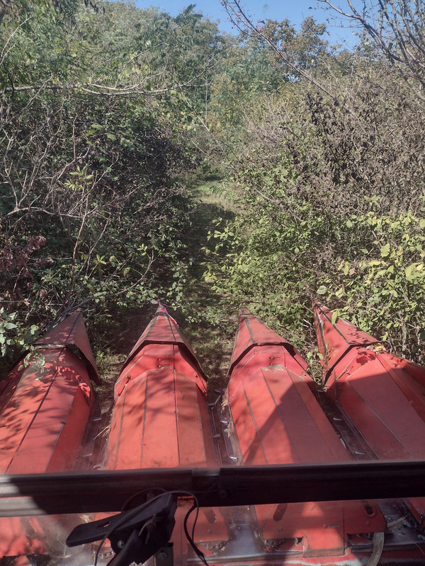 IMG-20240922-111306988-HDR.jpg