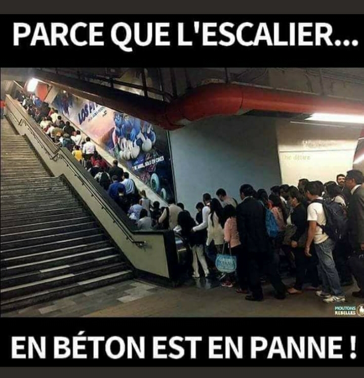 Jeu tout simple : Ceci ou