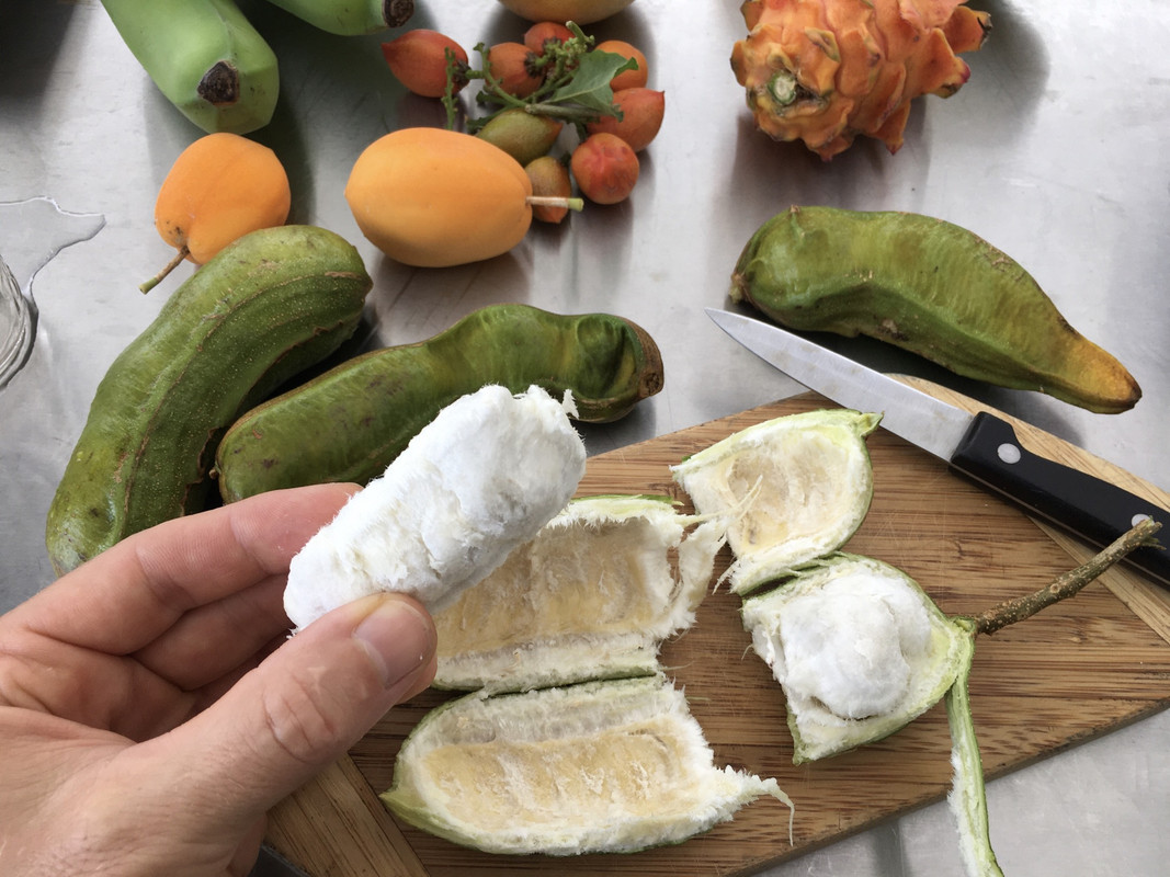 F7CE2E0A-3A40-4CFE-82C9-CCFB03603E9A