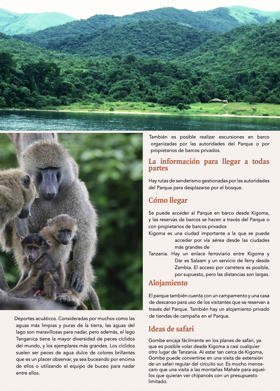 Gombe N.P. (Chimpancés) - Parques de Tanzania - Foro África del Este