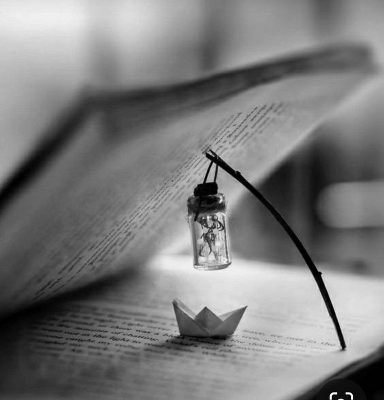 Screenshot_20230329_230656_Pinterest