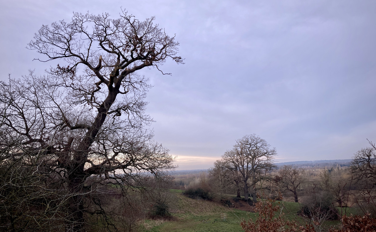 D34E21CB-B35F-424C-9327-030BB0537B8F