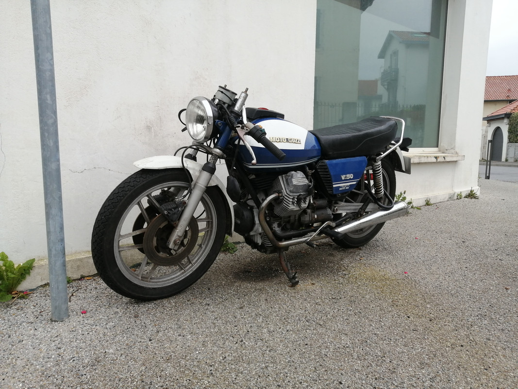 funky guzzi 4