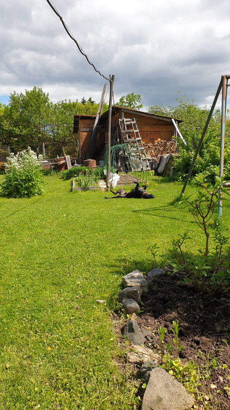 E5AB17B9-638E-46D5-92FD-2439B24F1E34