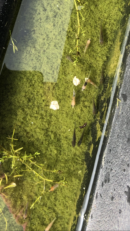 E2963AAD-2FBD-438E-96B4-15C15DA0153A