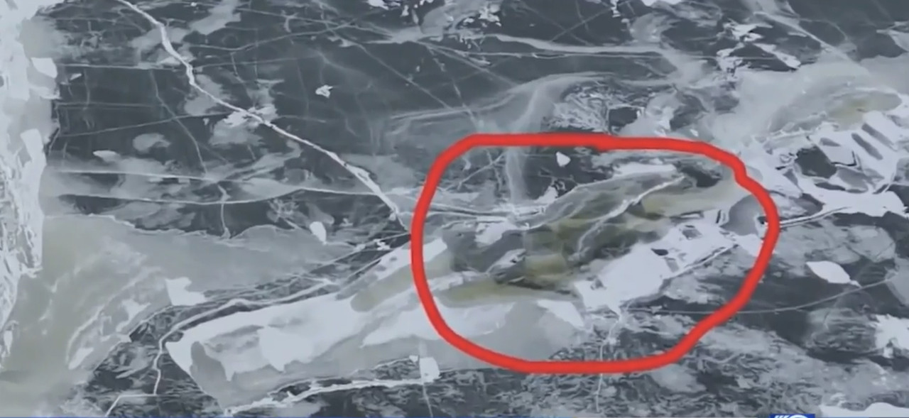 A764753F-E314-44E3-9167-3C582EA5F662