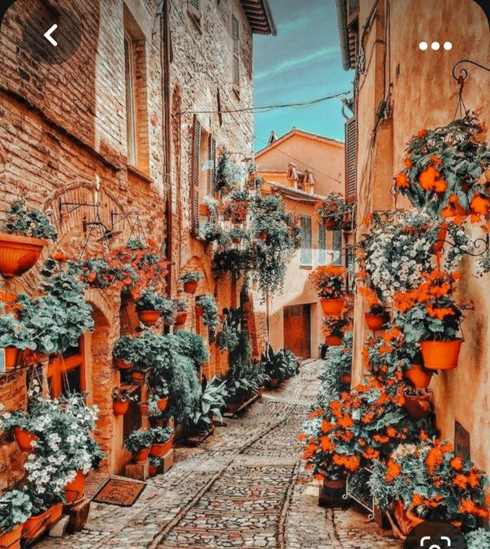 Screenshot_20231002_220622_Pinterest