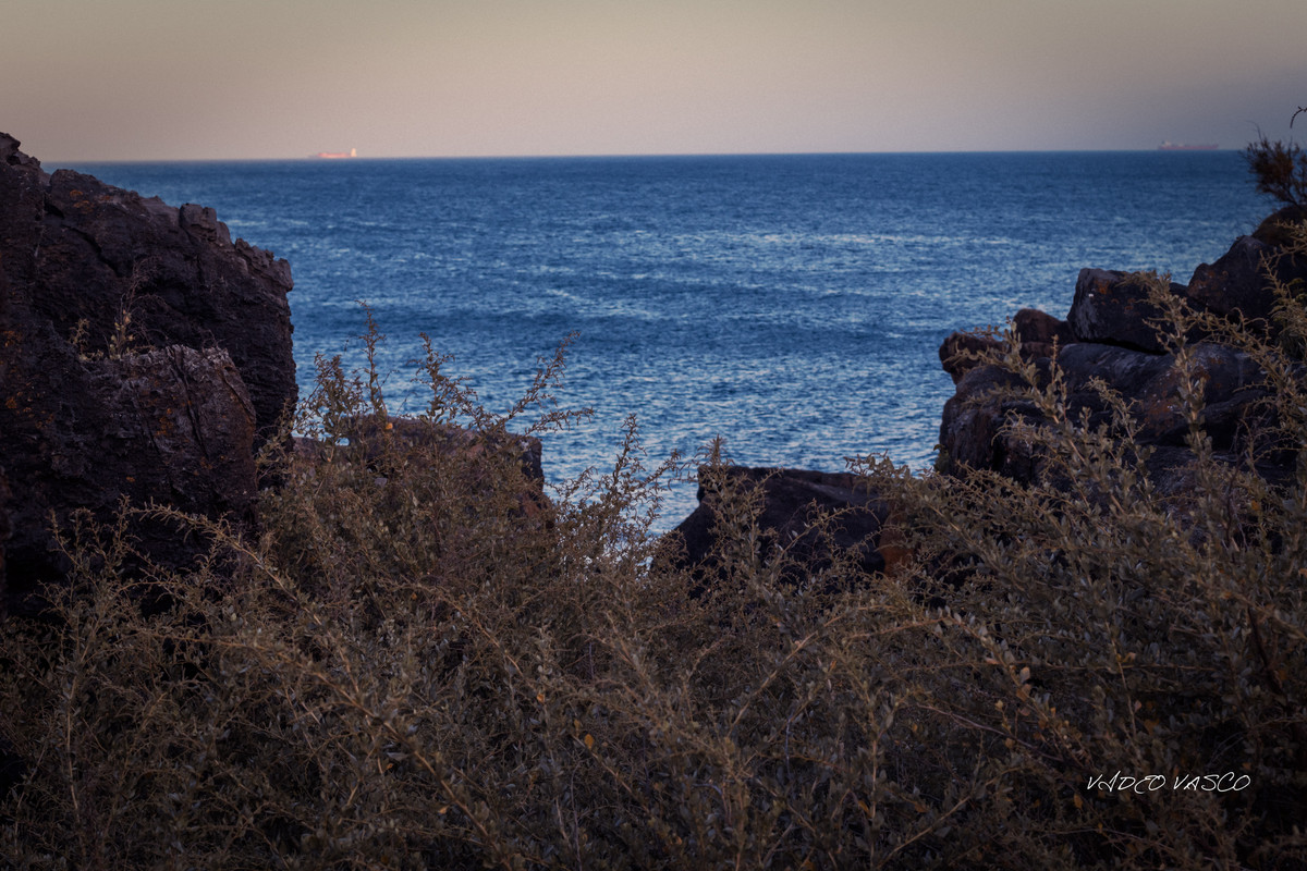 HIve-Boca-Inferno-1-13.jpg