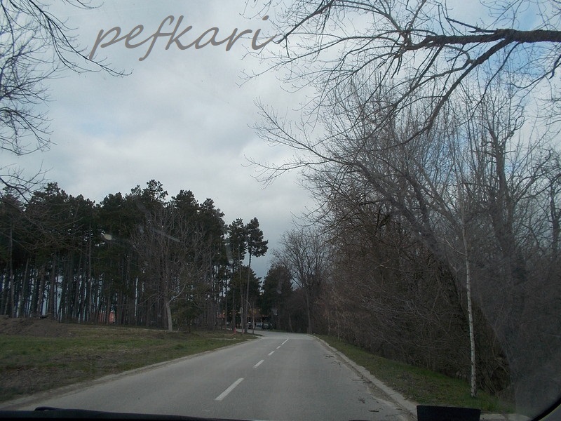 Slika