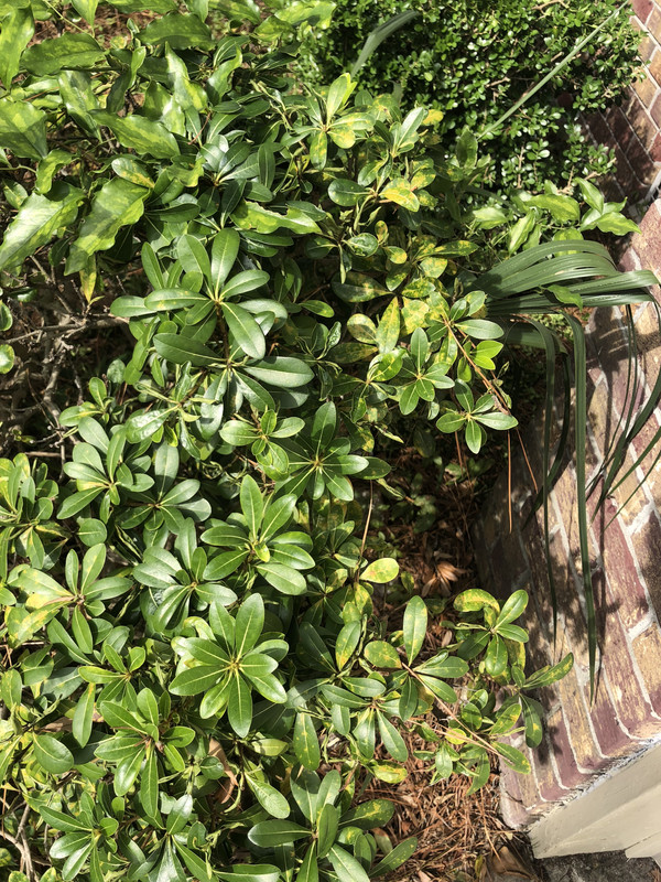 3F4ED274-3BDB-4A13-9CBB-D9448362AC5C