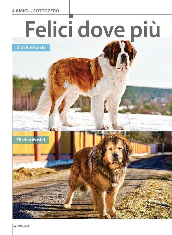 Il M C Ott-Nov 2023 (11)