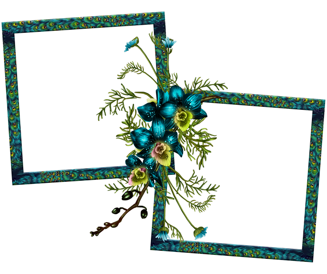 PeacockDreams_MM_Element (92)