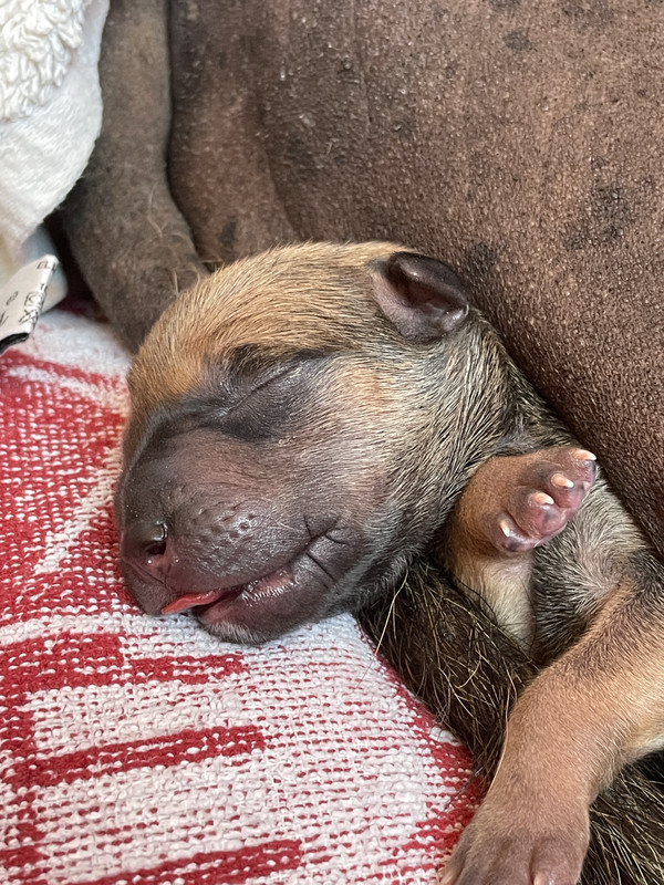 9ADD417B-FE7C-4A6D-B1C3-62F4890F8E11