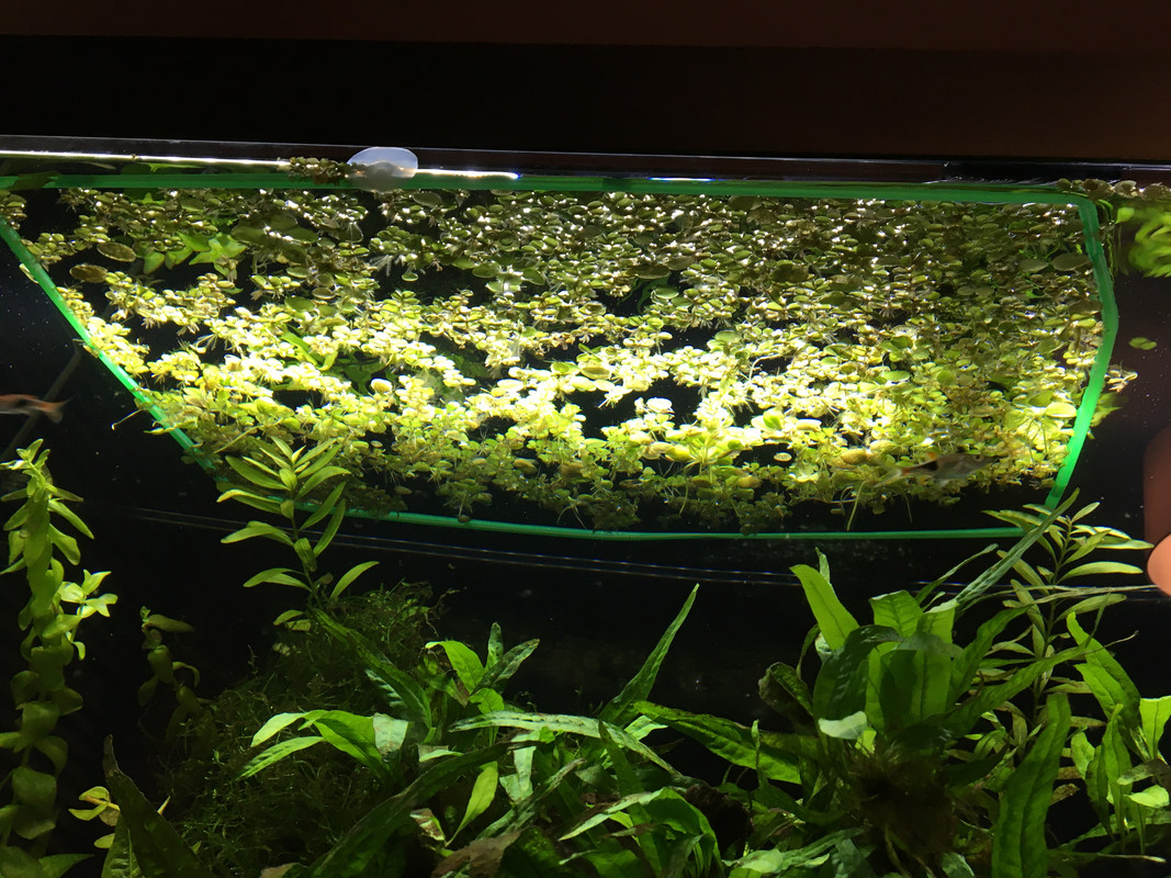 37309AB8-09D2-405C-8410-FF8841A80169