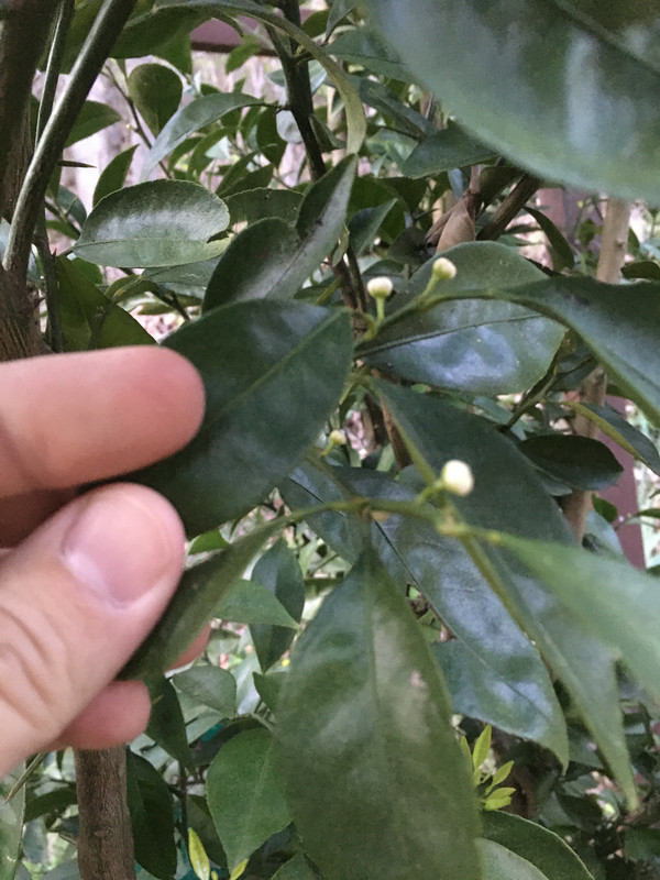 A5EA3226-F072-4D00-8C40-8D1527FE5A2E