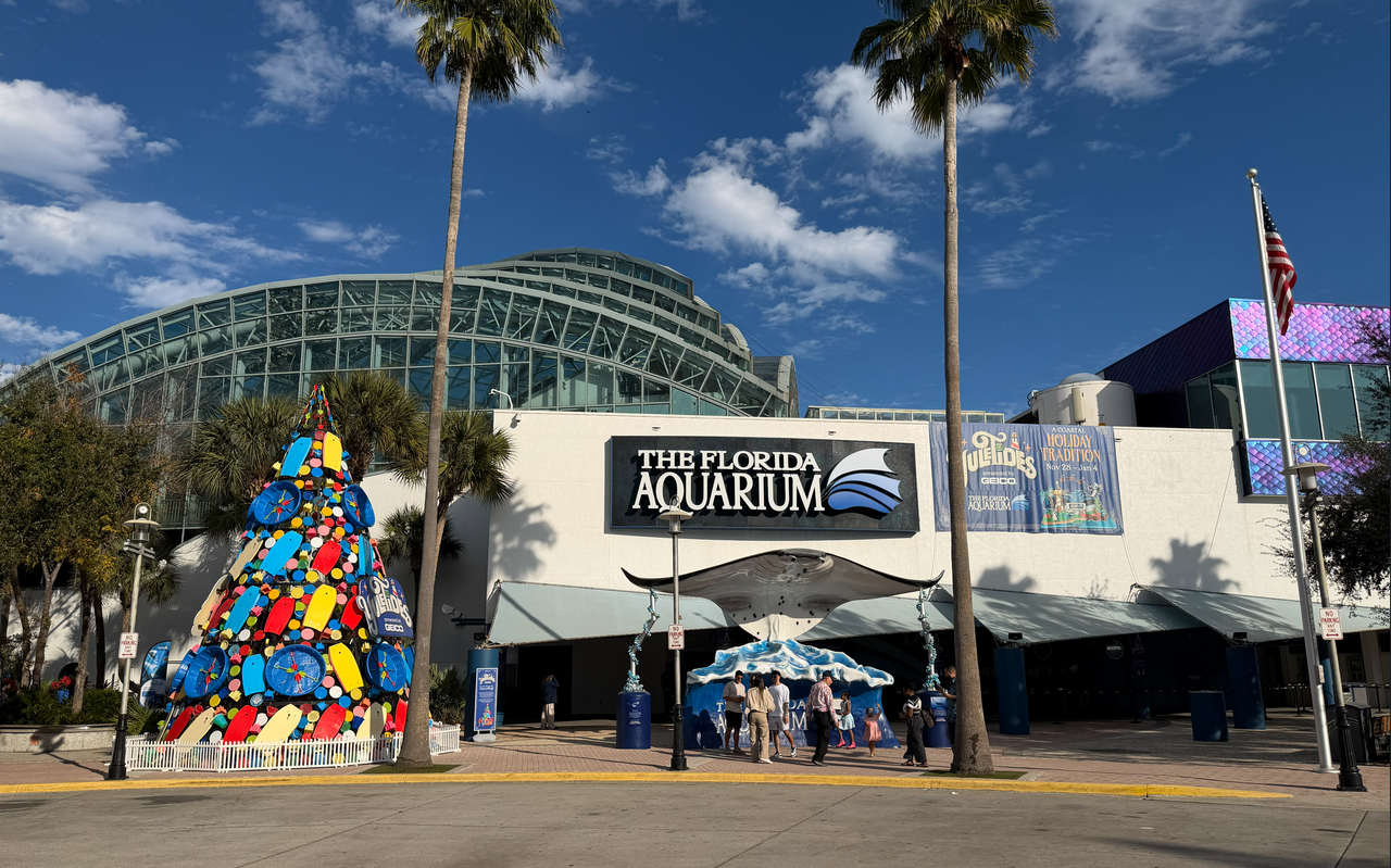 [Image: Tampa-Aquarium1.png]