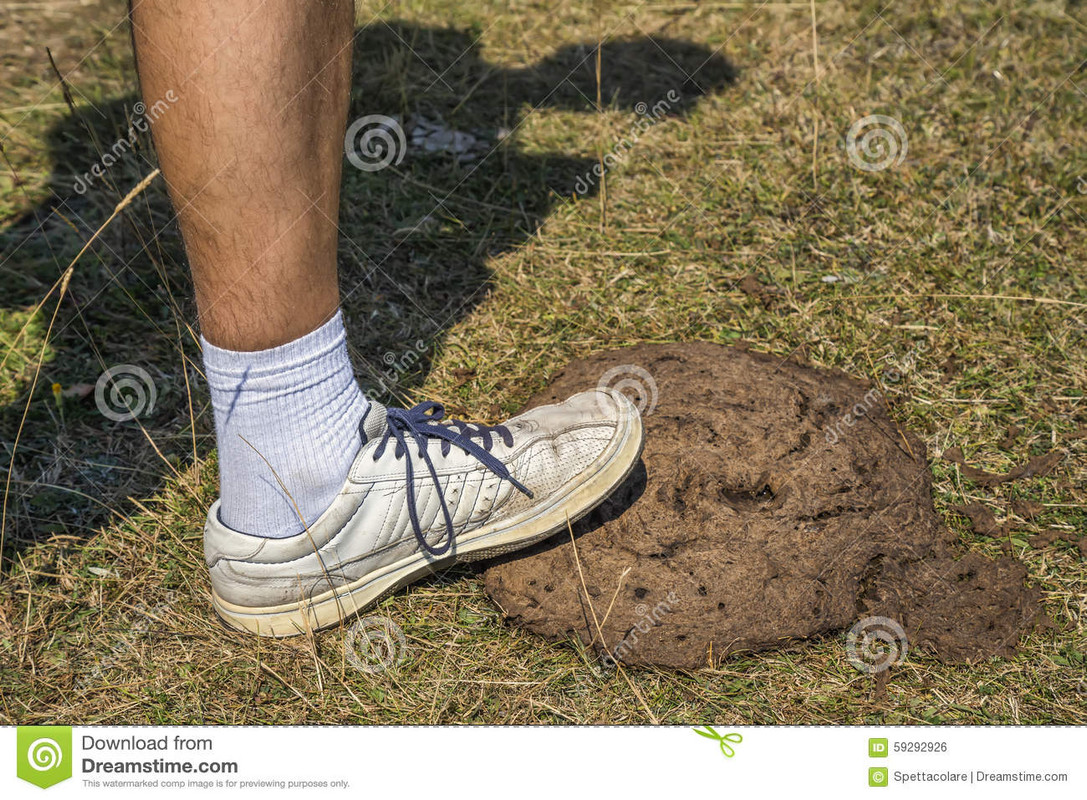 step-shit-abstract-trouble-made-shallow-depth-field-59292926