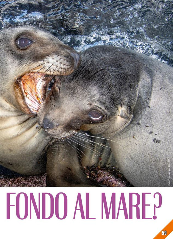 Foc Wil - Lug 2024 (12)