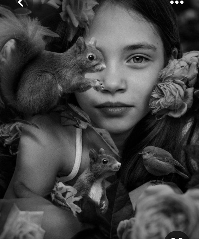 Screenshot_20230324_010525_Pinterest