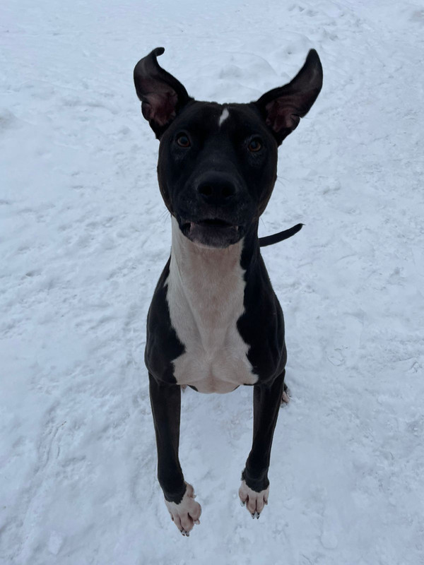 F38457EC-21FB-44D8-AE61-7E5A7788D914