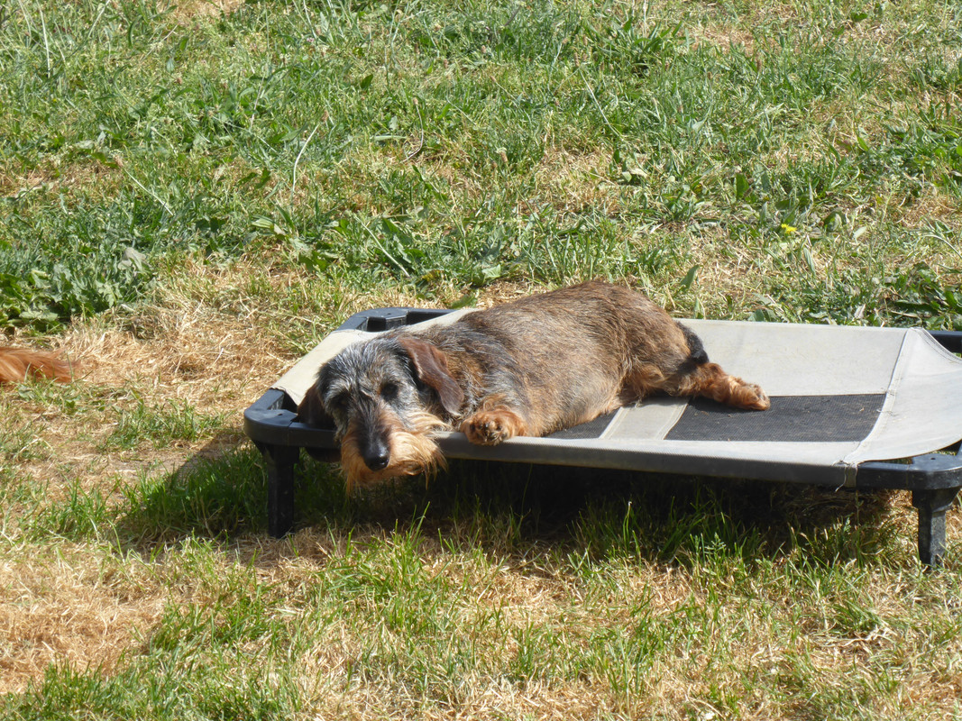 [Image: P1030372.jpg]