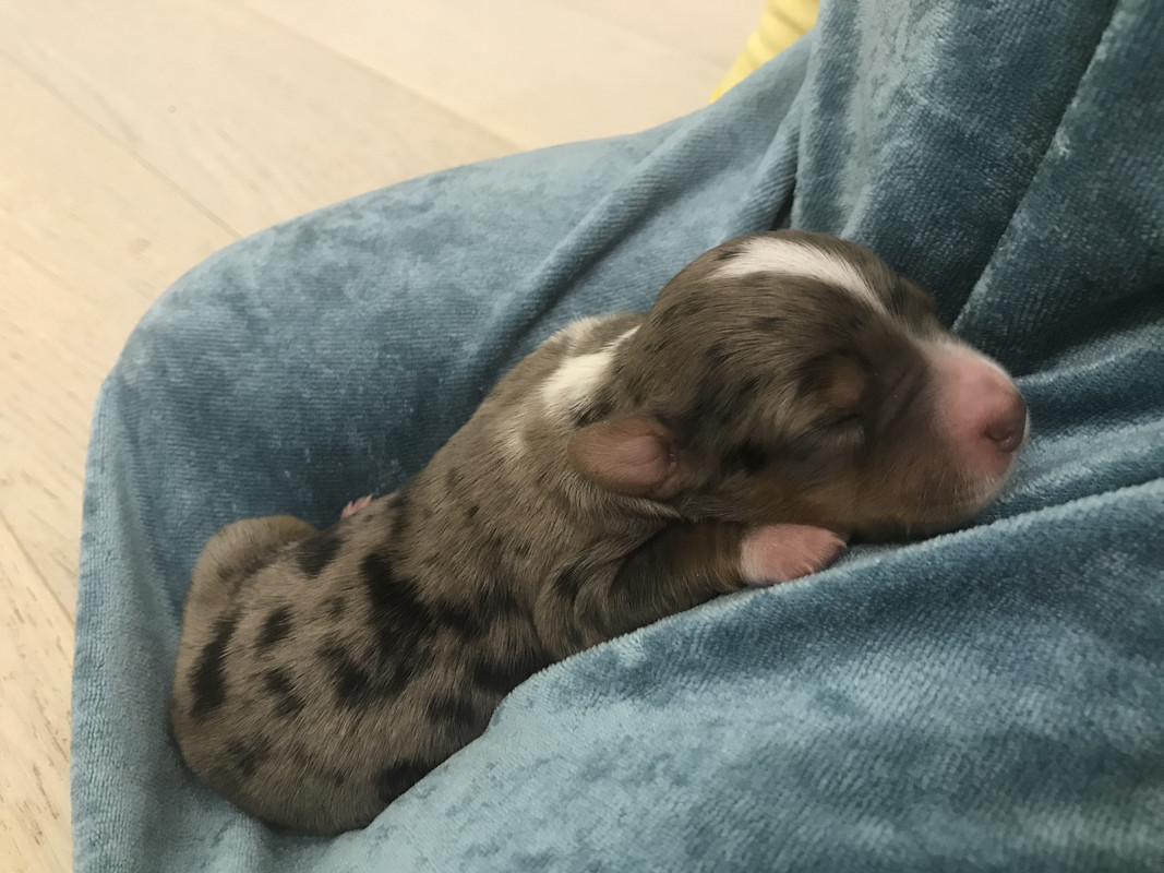 AD6D45F2-2A46-4CA2-9B20-7CFB836E1210