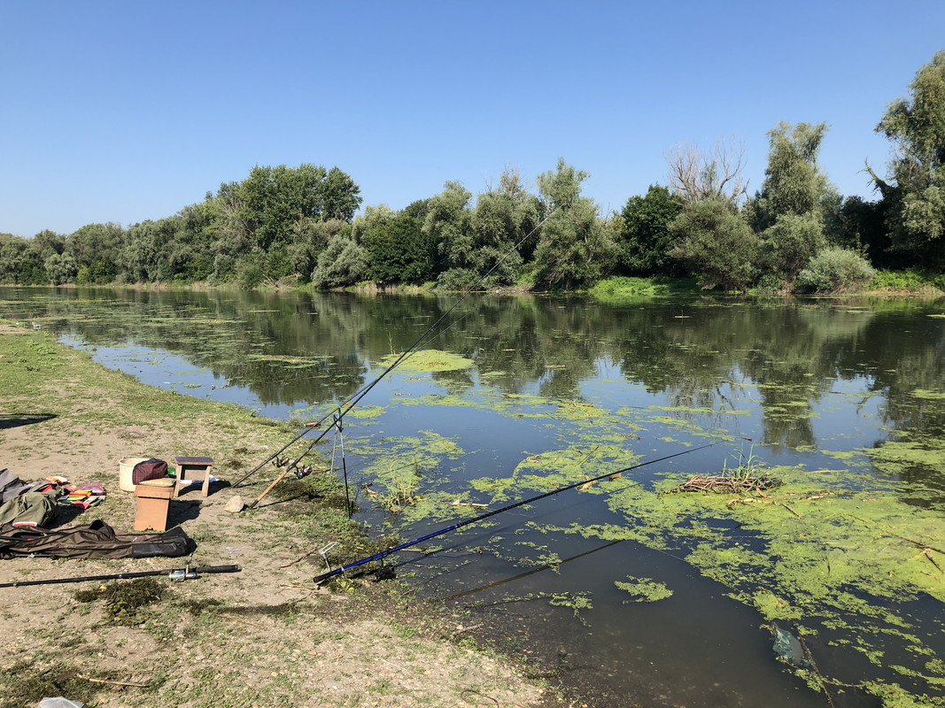 BD0CE25E-E98E-4D67-B400-6ED7FF8DC135