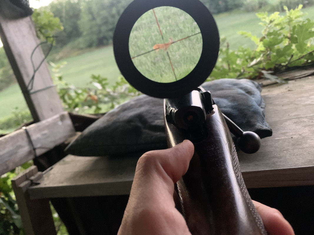 D5810272-B0E8-4262-8259-C298919C4B5A