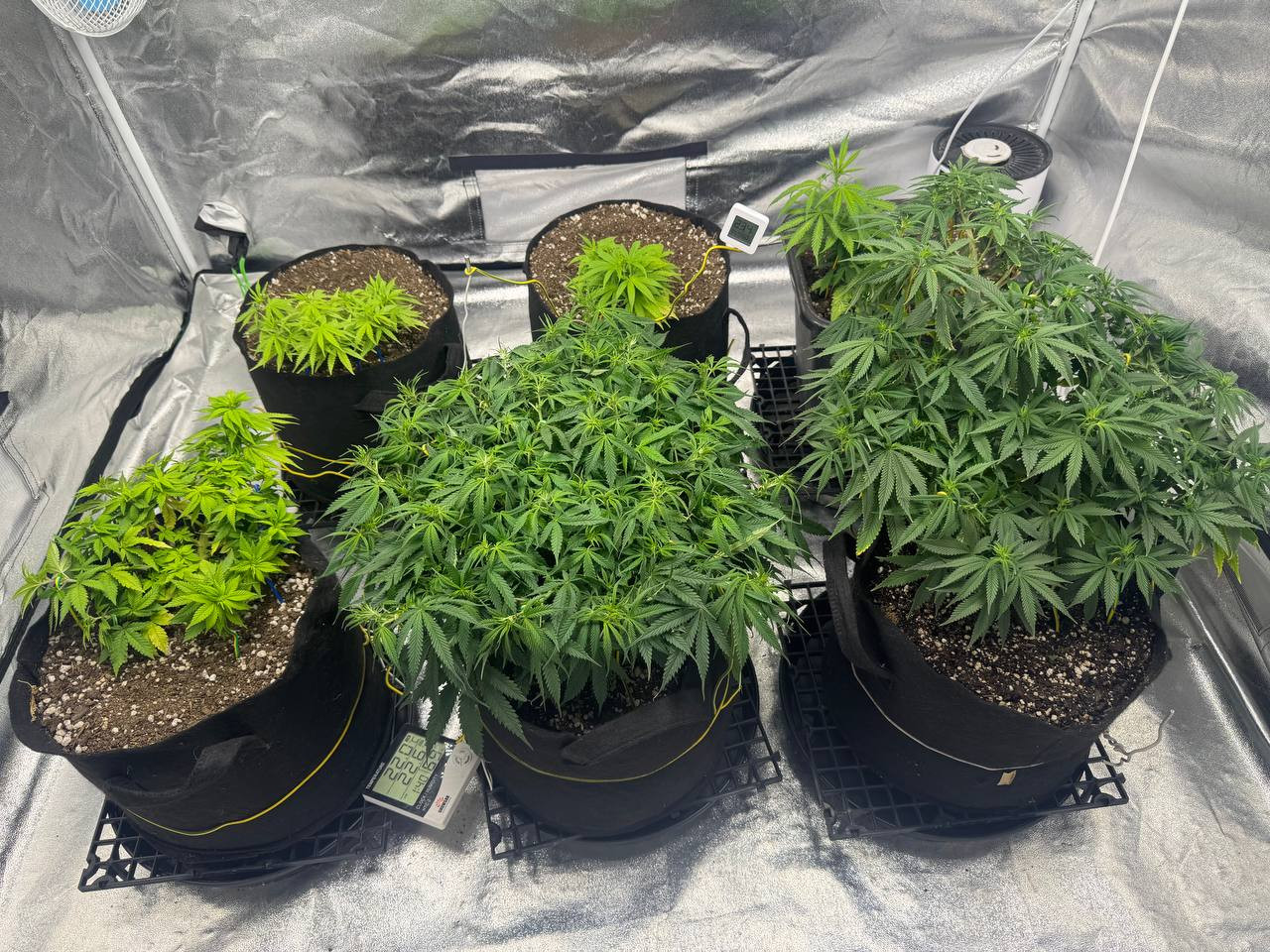 photo 2026 02 12 00 48 31