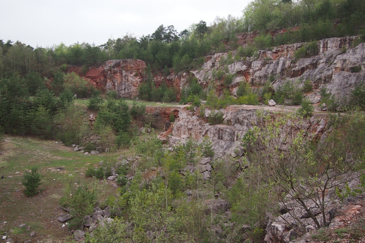 SW13 - Kamienio_om_Zygmunt_wka