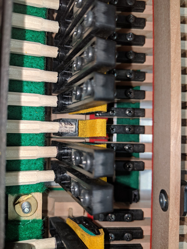 51538828_625775667859357_2220257187316367360_n