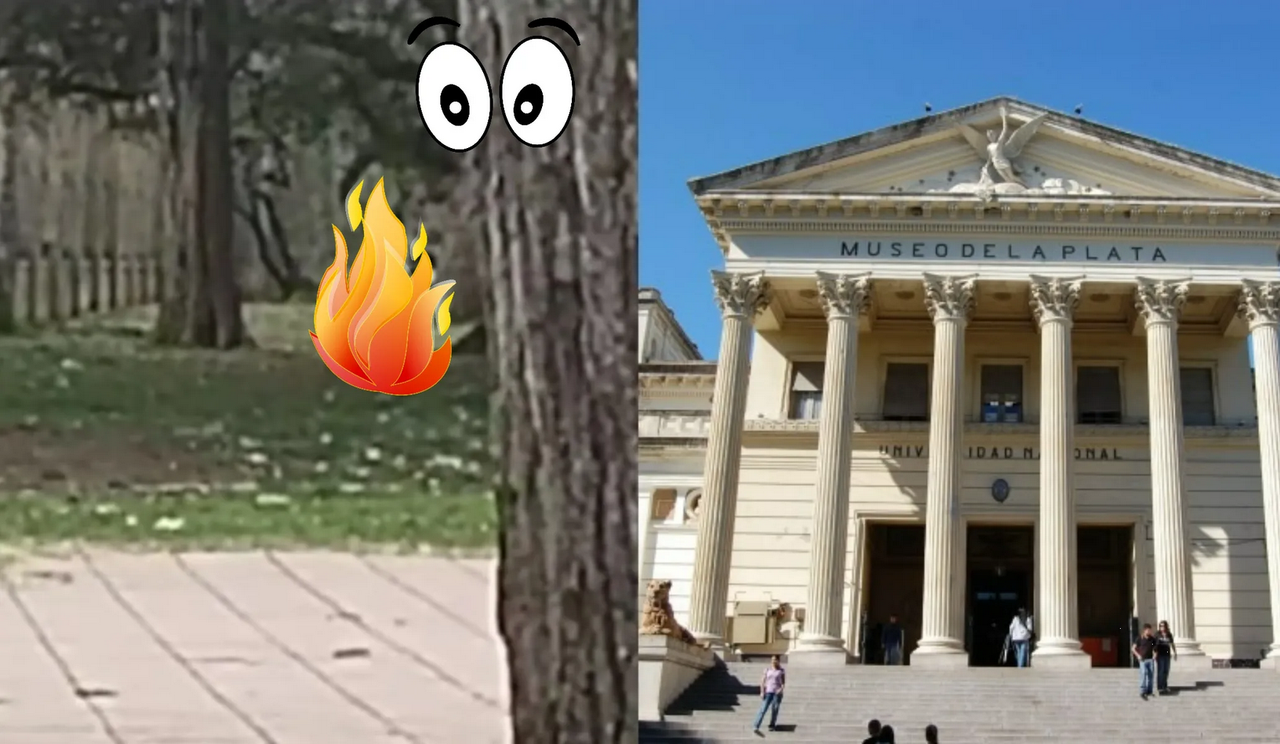 Lleva a su hija al museo y cachan a una pareja haciendo el “delicioso”: Video