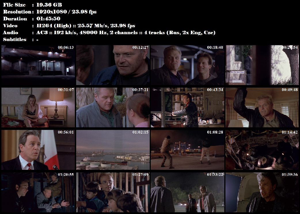 Poslední z nejlepších / The Last of the Finest (1990)