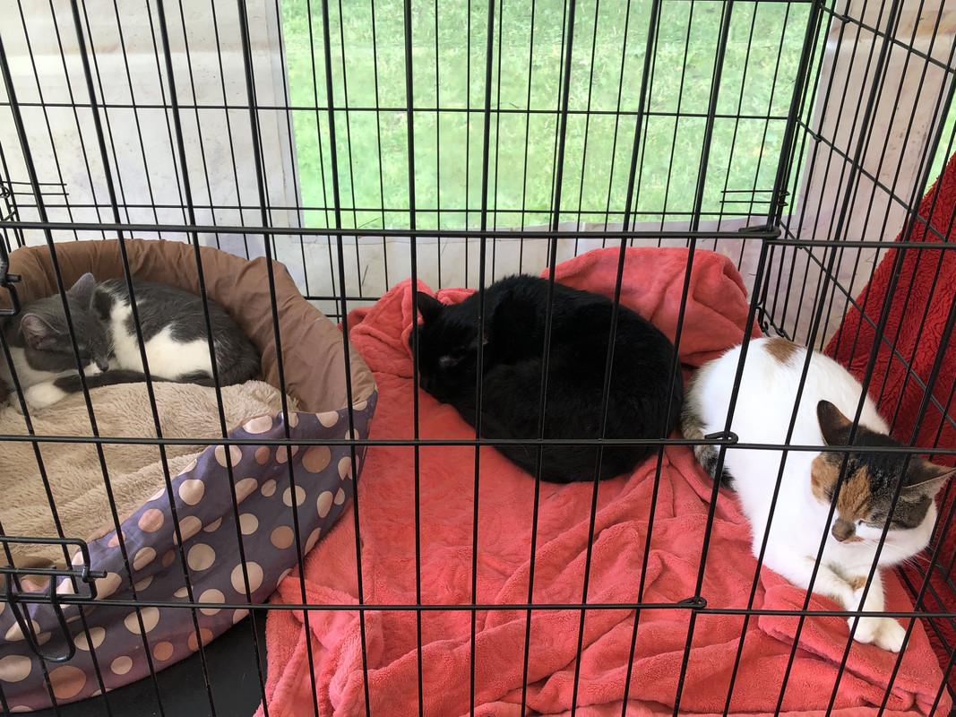 6DB21699-8BC4-4A73-A5EB-6E028984B07C