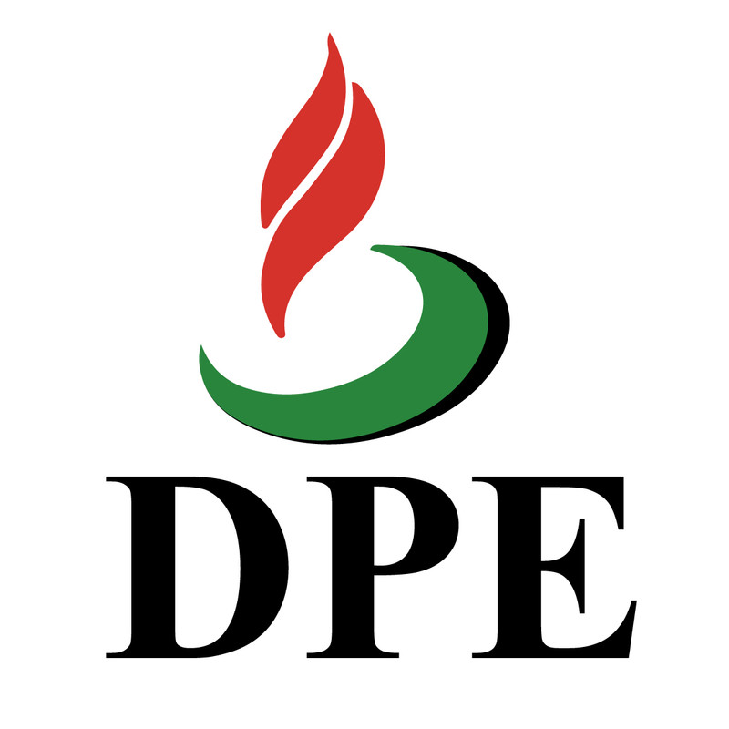 DPE System Icon