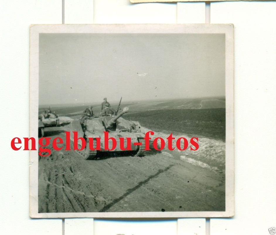 PANZER - XX-STURMGESCHÜTZ - LANGROHR - TARNUNG -