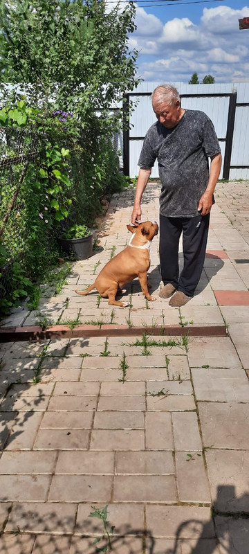 68581B31-6804-49C3-9861-4C4C72D8CA20