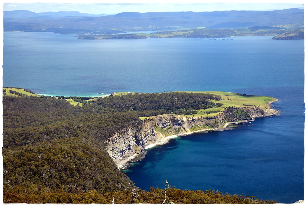 Australia (II): Recorriendo Tasmania - Blogs de Australia - Maria Island National Park (6)