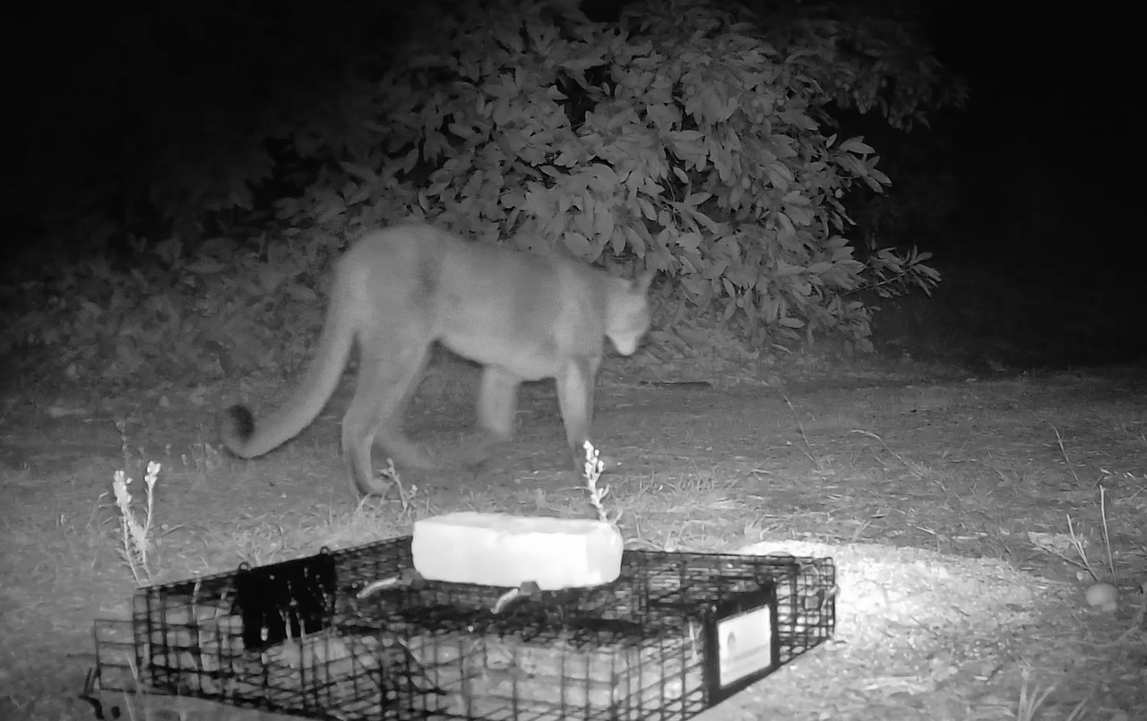 Screenshot 2025 11 12 at 11 27 42 AM