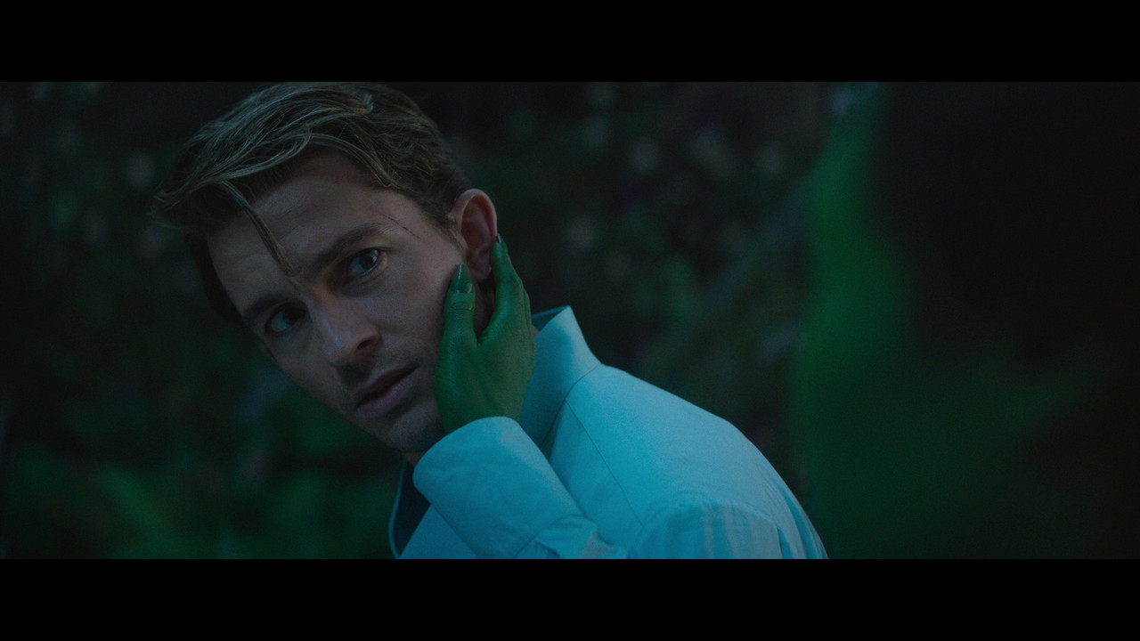 vlcsnap-2025-01-28-15h49m08s672