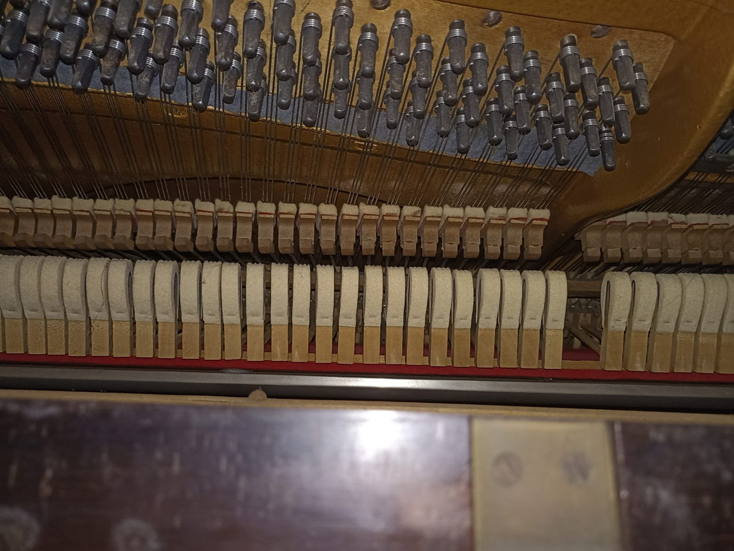 0985a849-437a-11ef-98ef-db477704a068