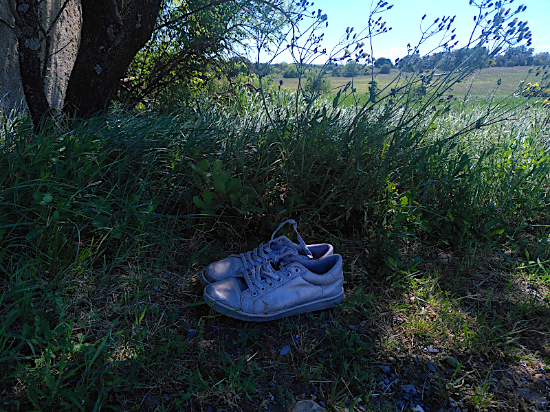 Solitude d'une paire de chaussures sur le chemin bordé d'herbes