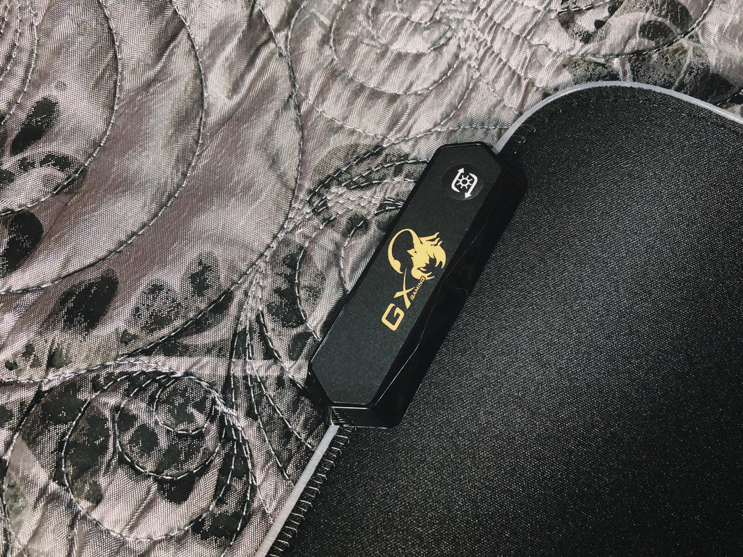 81562323-785060285341221-473936775968561